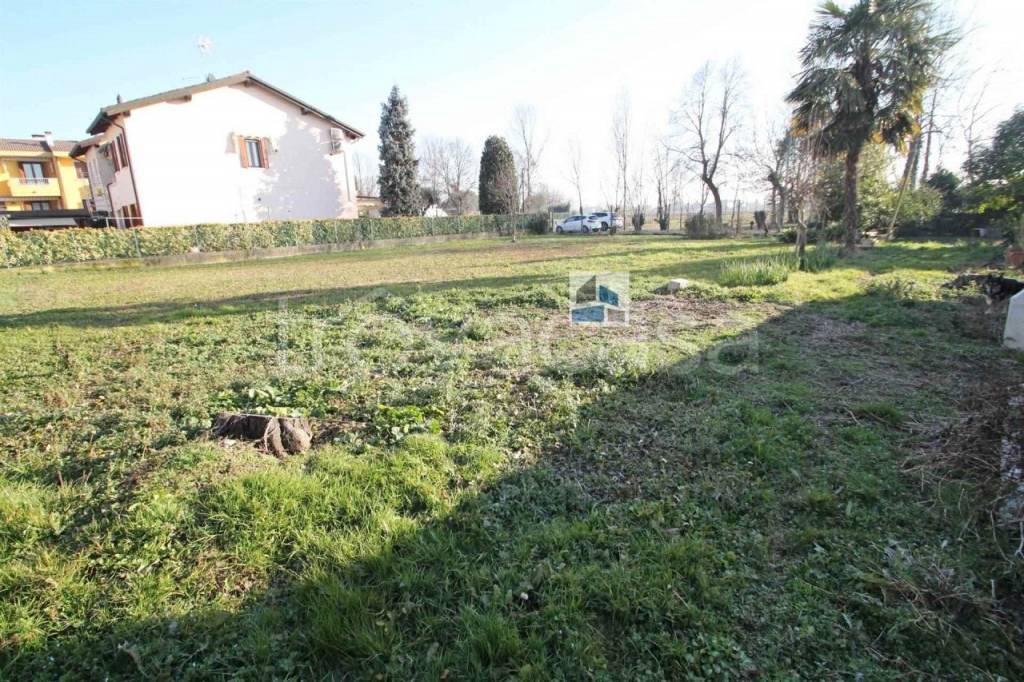 immagine annuncio 3 di 6