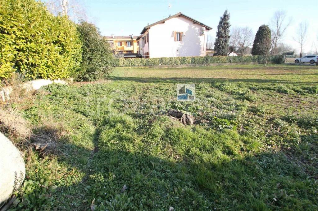 immagine annuncio 4 di 6