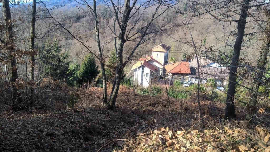 immagine annuncio 6 di 8