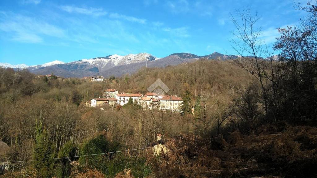 immagine annuncio 4 di 8