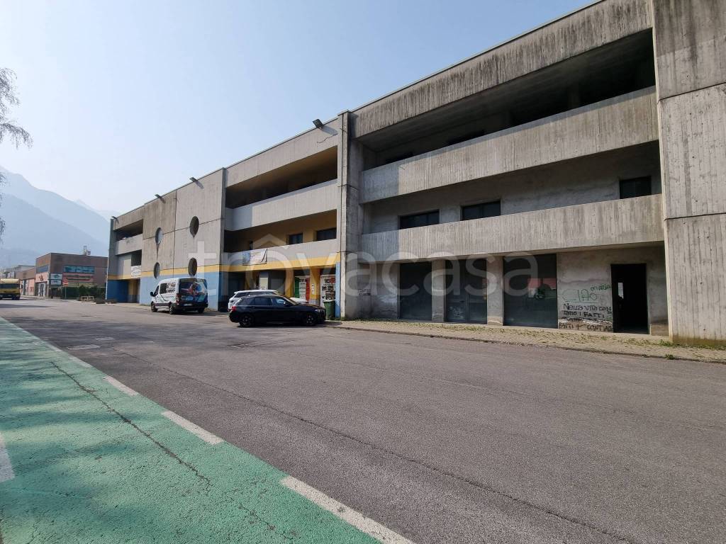 immagine annuncio 1 di 6