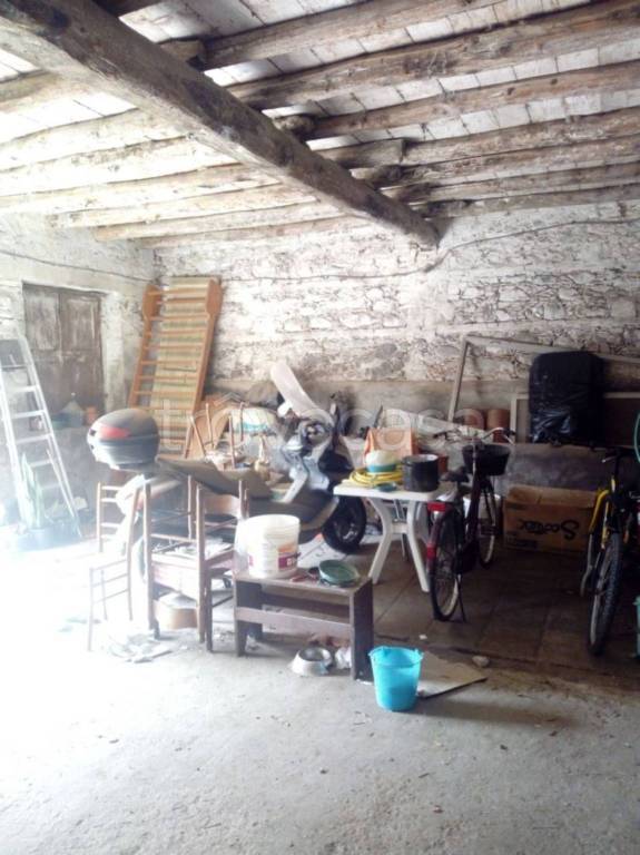 immagine annuncio 2 di 14