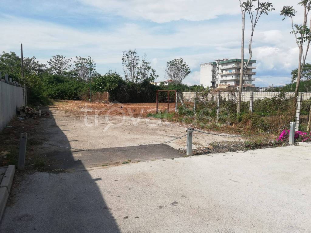 immagine annuncio 3 di 8