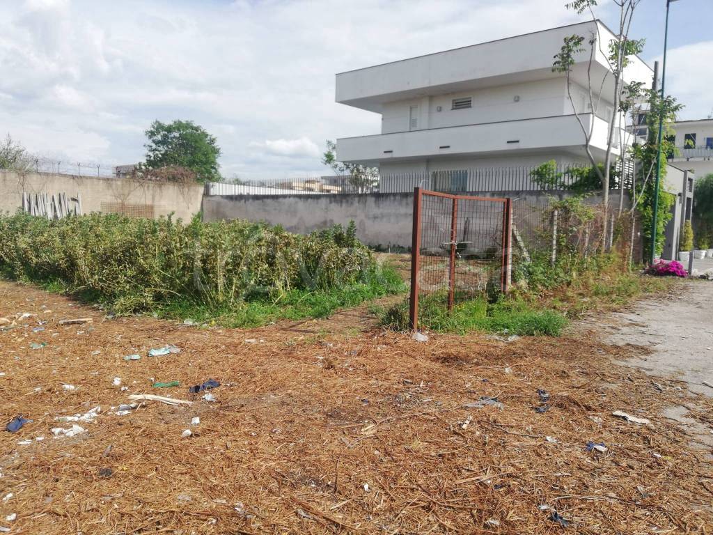 immagine annuncio 4 di 8