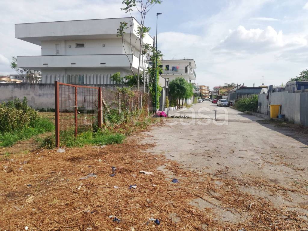 immagine annuncio 6 di 8