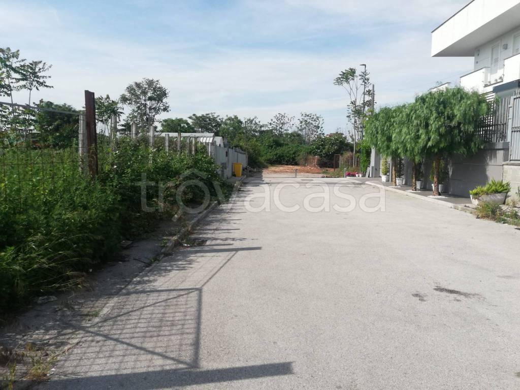 immagine annuncio 5 di 8