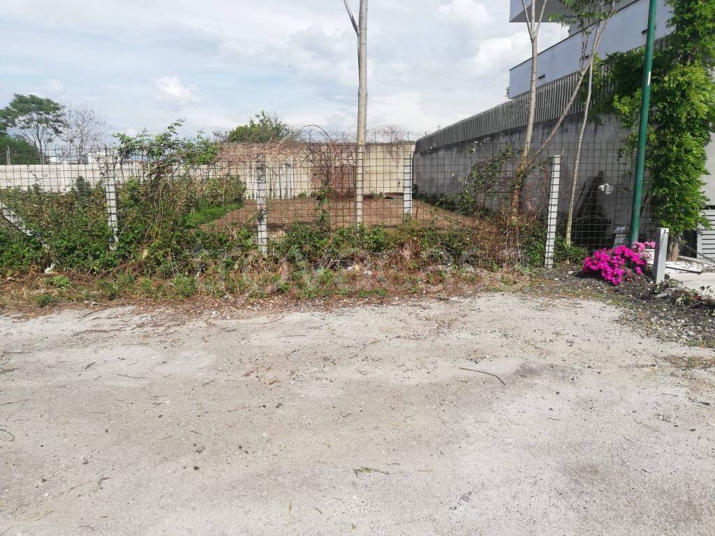 immagine annuncio 7 di 8