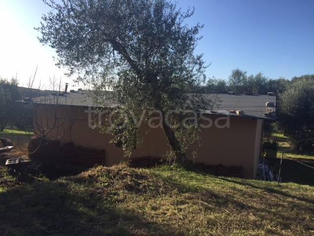 immagine annuncio 2 di 14