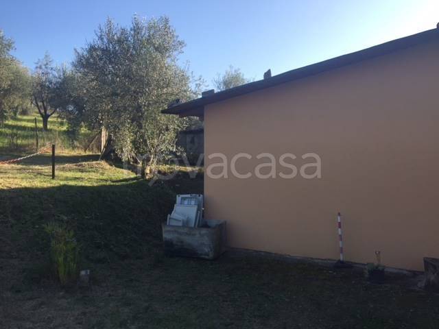 immagine annuncio 3 di 14