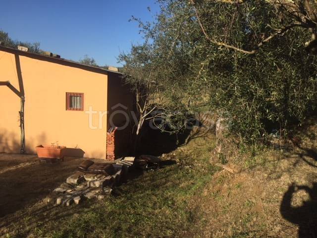 immagine annuncio 4 di 14