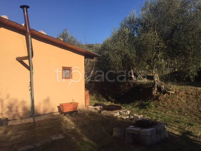 immagine annuncio 5 di 14