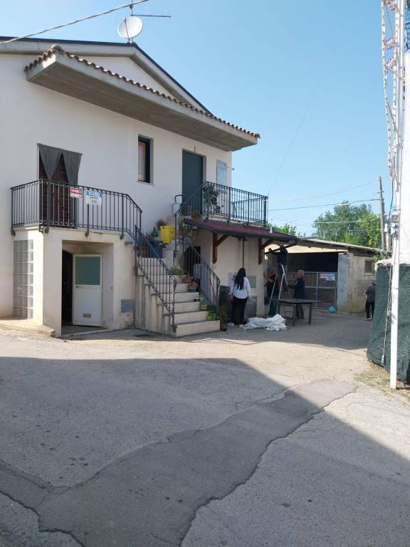 immagine annuncio 6 di 14