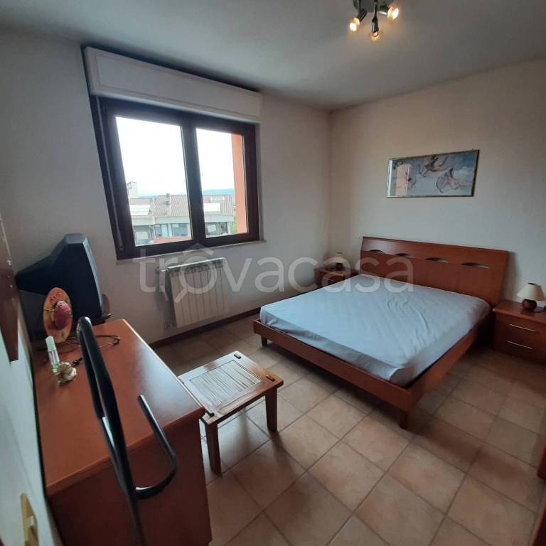 immagine annuncio 9 di 14