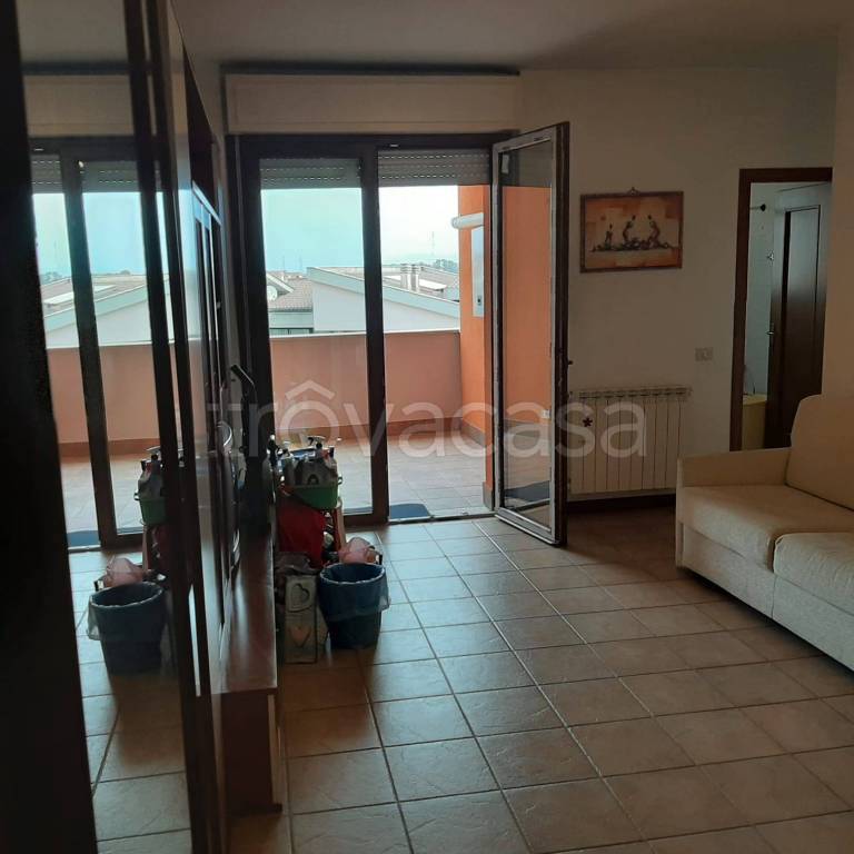 immagine annuncio 2 di 14