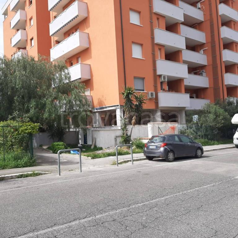 immagine annuncio 13 di 14