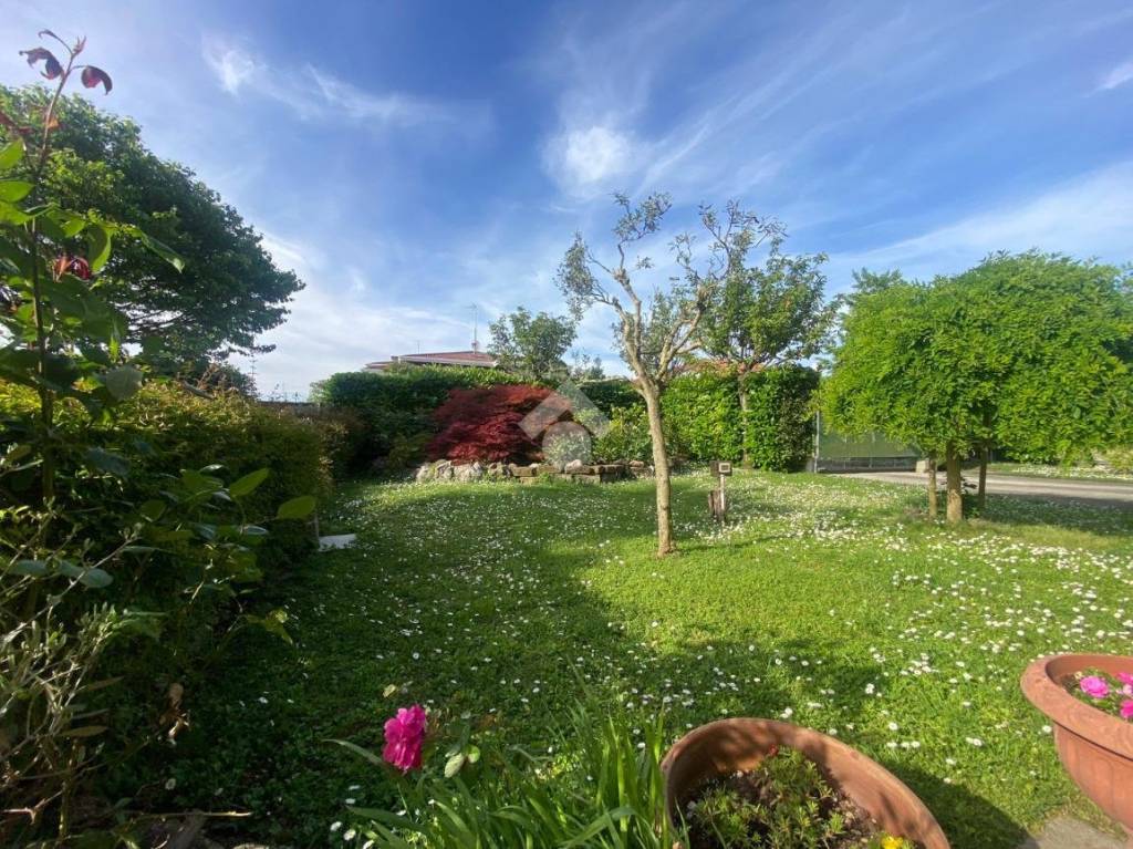 immagine annuncio 1 di 14