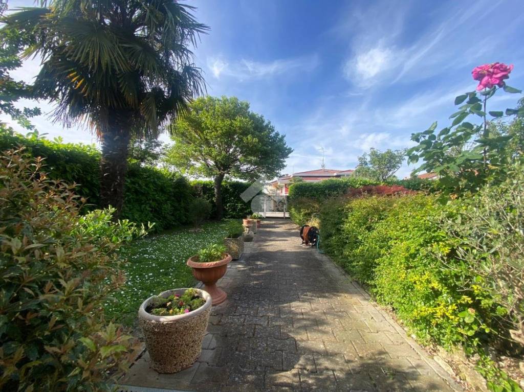 immagine annuncio 2 di 14