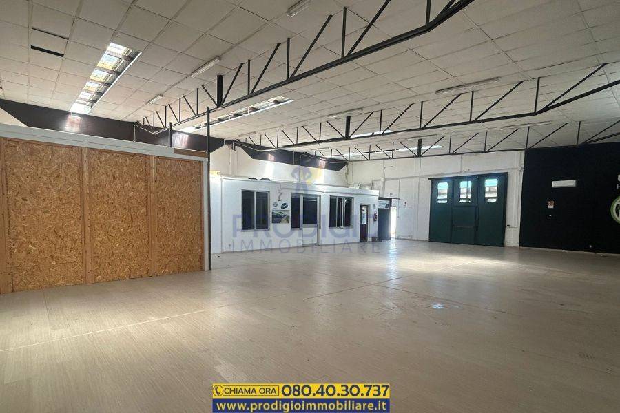 immagine annuncio 7 di 14