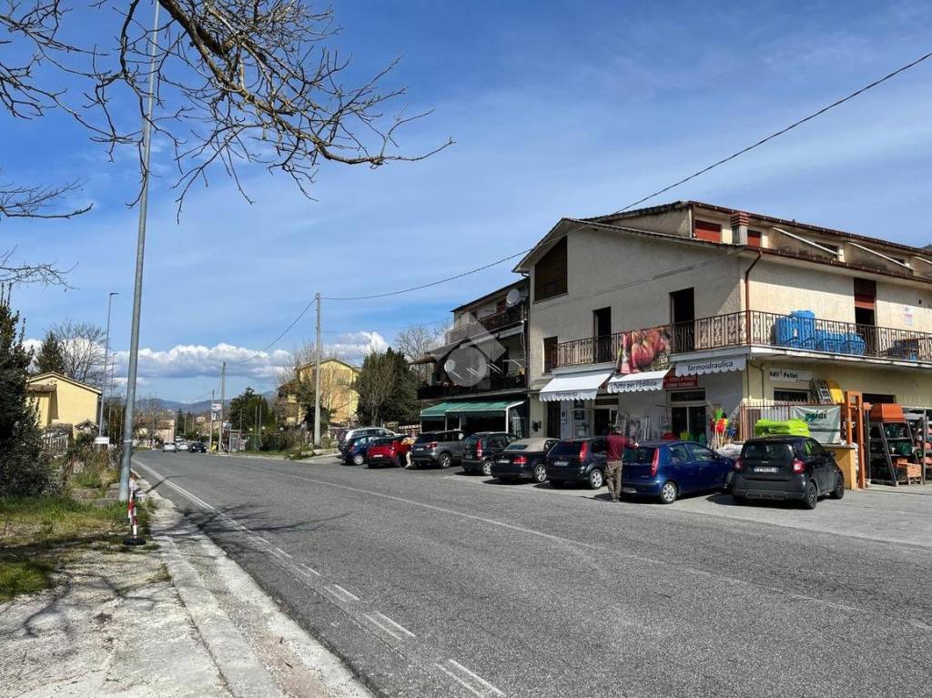 immagine annuncio 12 di 14
