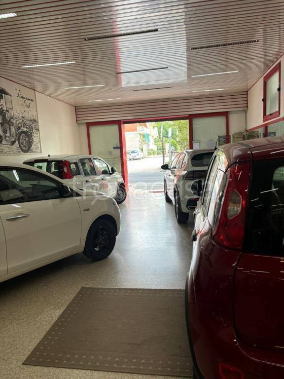 immagine annuncio 1 di 12