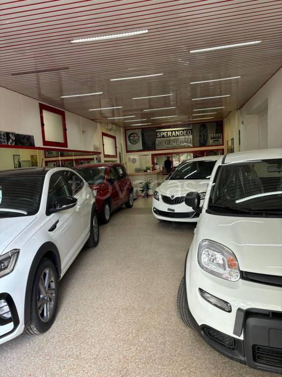 immagine annuncio 2 di 12