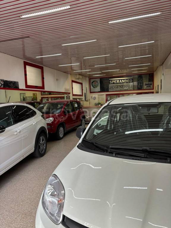 immagine annuncio 3 di 12