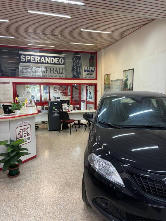 immagine annuncio 5 di 12