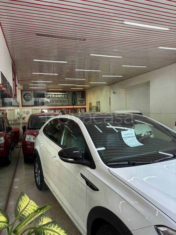 immagine annuncio 6 di 12