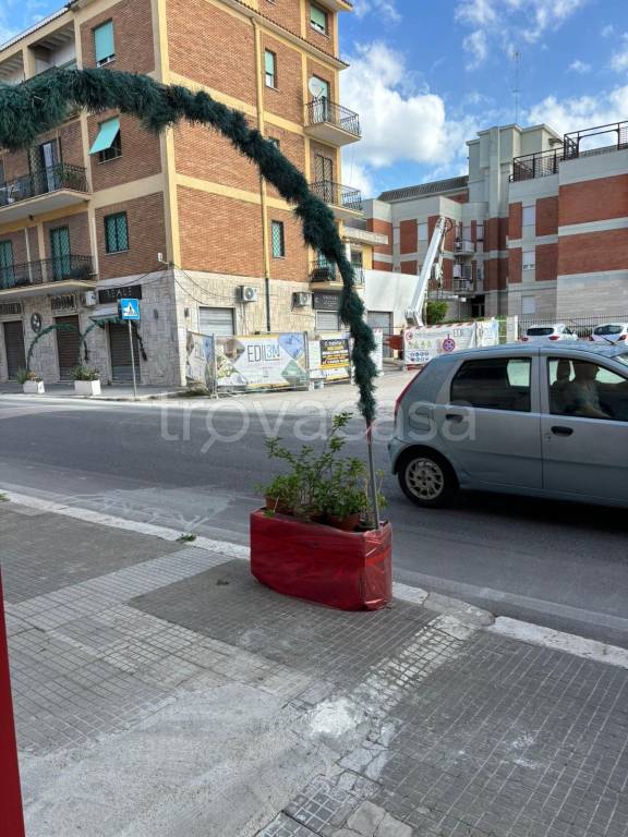 immagine annuncio 10 di 12