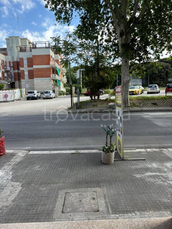 immagine annuncio 11 di 12