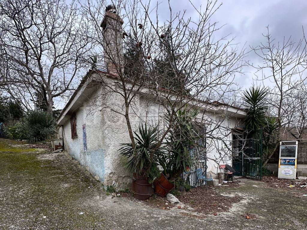 immagine annuncio 1 di 6