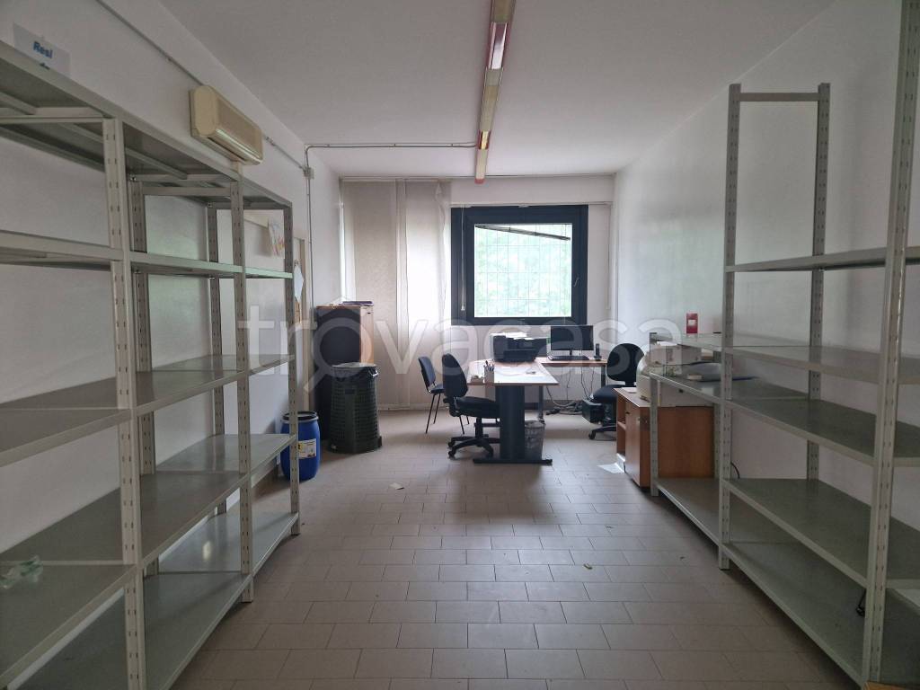 immagine annuncio 7 di 11