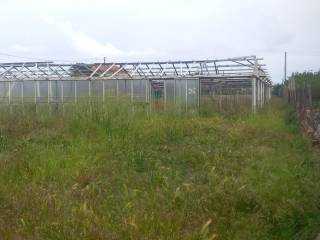 Terreno agricolo in vendita a ceriale 