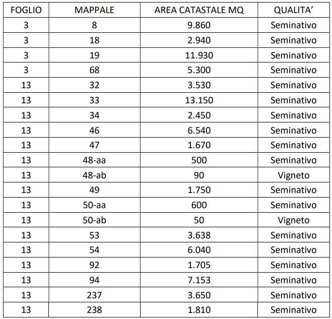 immagine annuncio 1 di 13