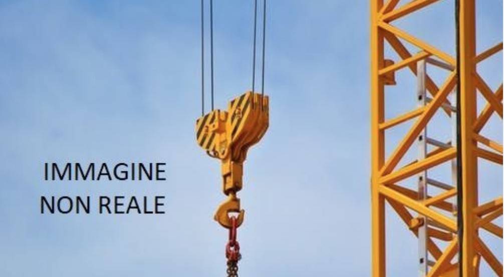 immagine annuncio 1 di 9