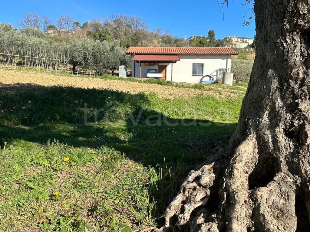immagine annuncio 1 di 14
