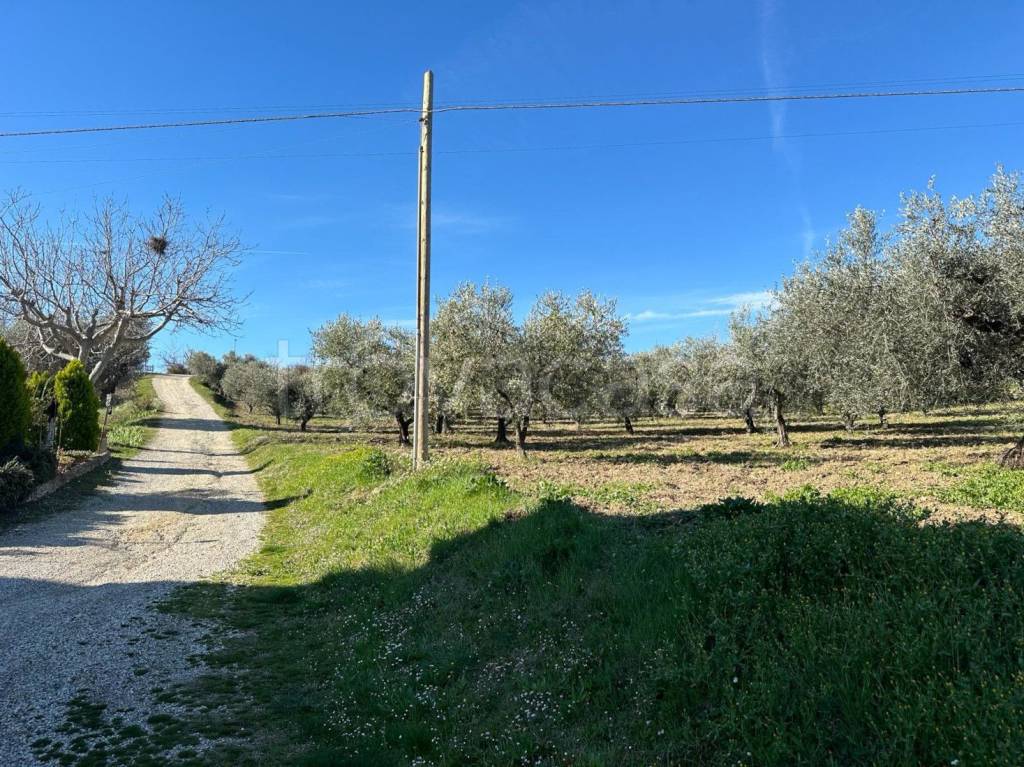 immagine annuncio 10 di 14
