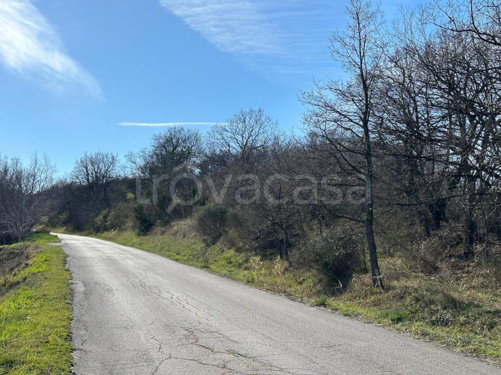 immagine annuncio 12 di 14