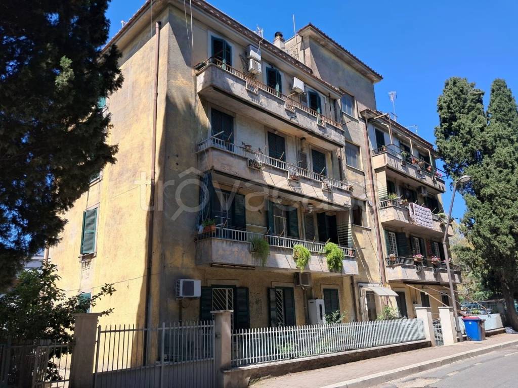 immagine annuncio 5 di 6