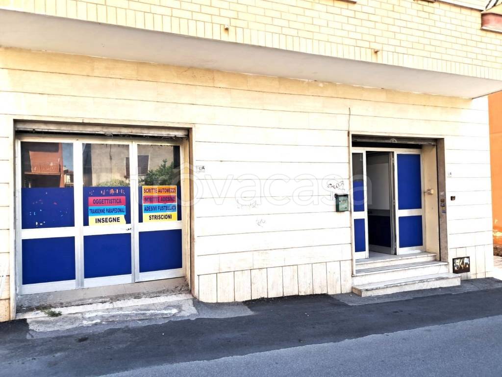immagine annuncio 1 di 12