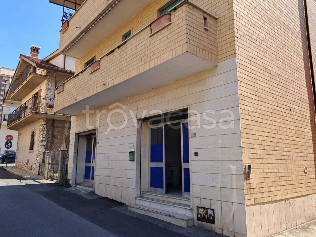 immagine annuncio 11 di 12