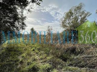 Terreno agricolo in vendita a orbetello via dello stagnone