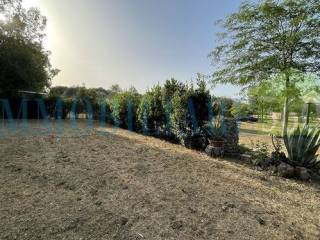 Terreno agricolo in vendita a orbetello strada provinciale della giannella