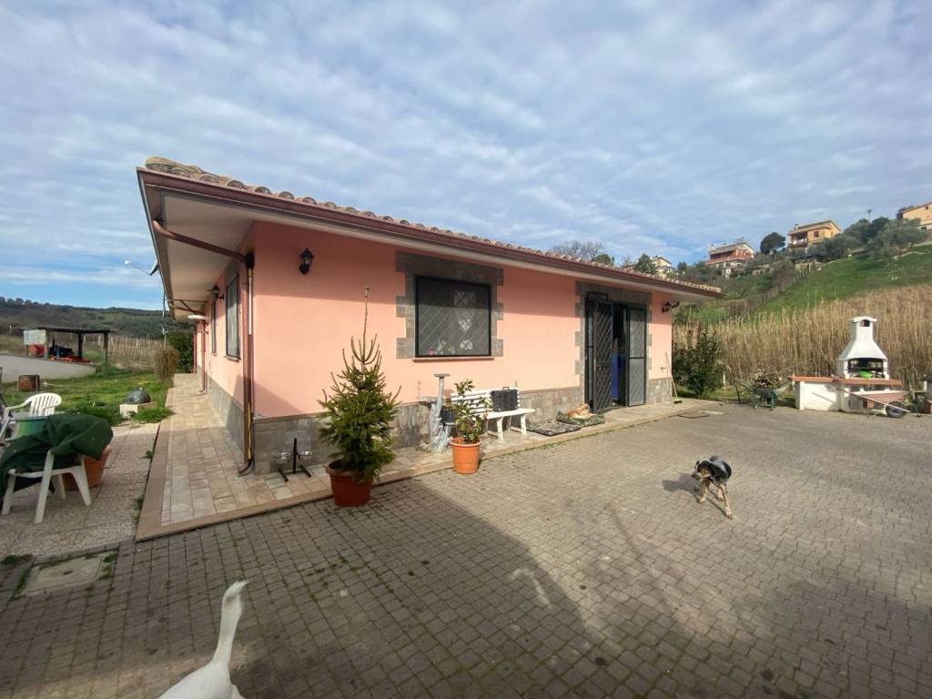 immagine annuncio 3 di 11