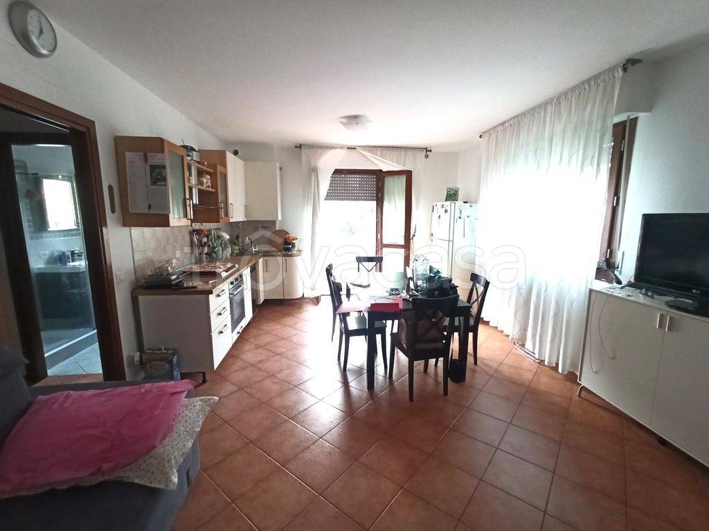 immagine annuncio 2 di 14