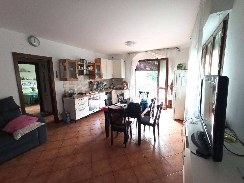 immagine annuncio 1 di 14