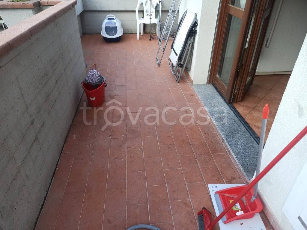 immagine annuncio 3 di 14
