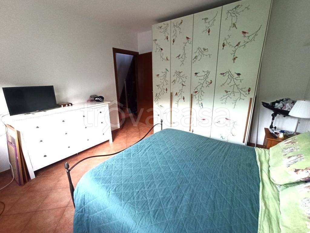 immagine annuncio 6 di 14