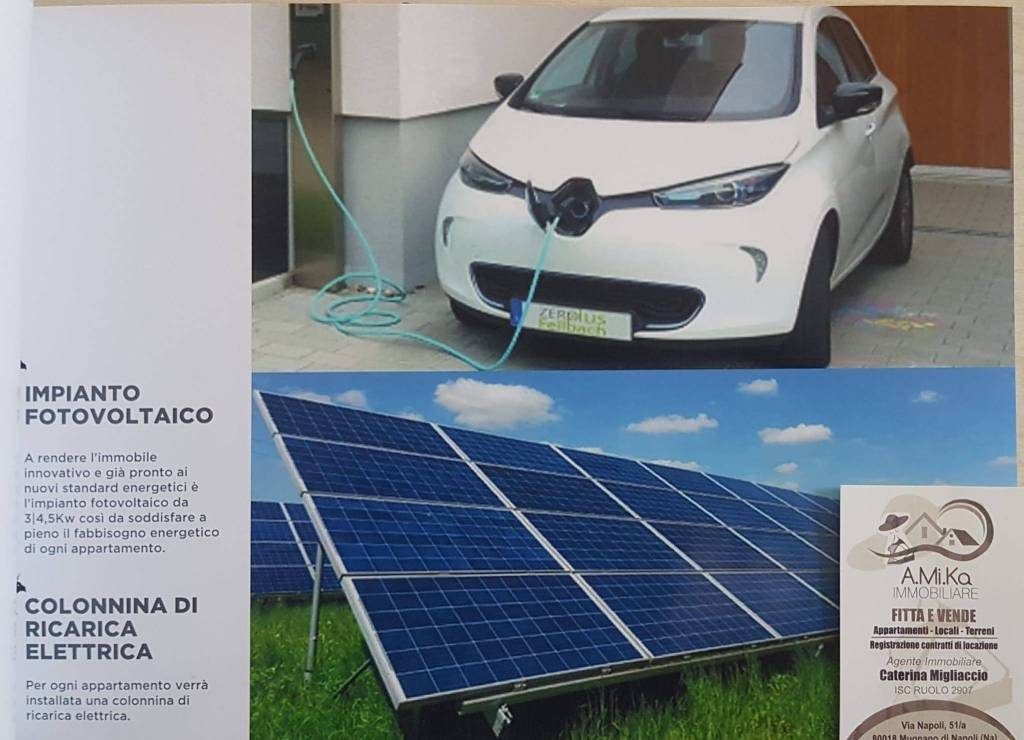 immagine annuncio 4 di 8