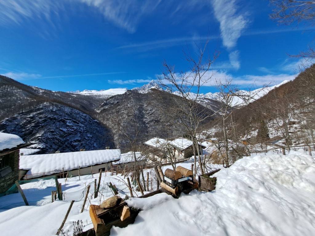 immagine annuncio 4 di 14
